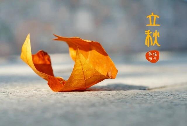 明天（8月6日，农历六月廿四）是立秋前一天，老话叫“绝日”，也叫“火绝日”——夏