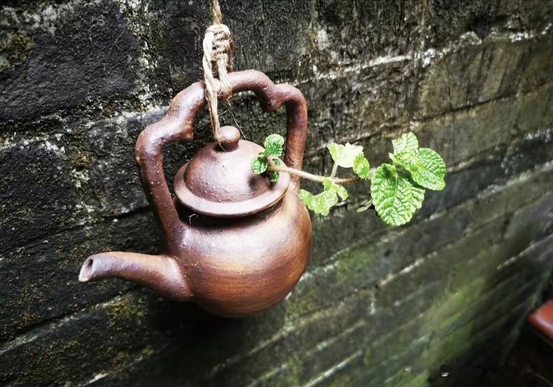 感谢组织的体谅与厚爱！年近50未获提拔，于我而言并非遗憾，反而是一份恰逢其时的馈