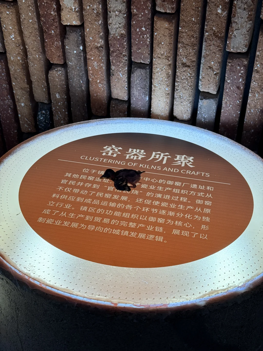 景德镇御窑博物馆惊现雏鸟！