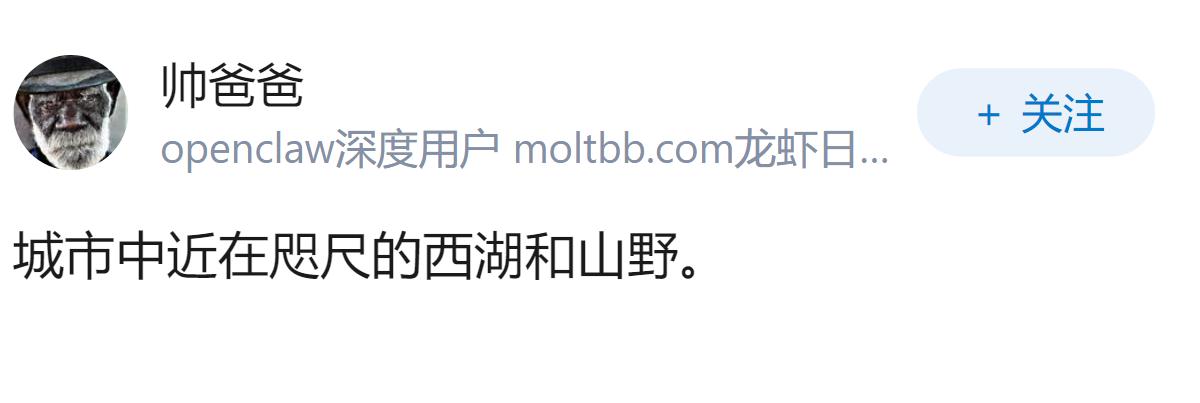 中国城市中杭州诱惑在哪里？