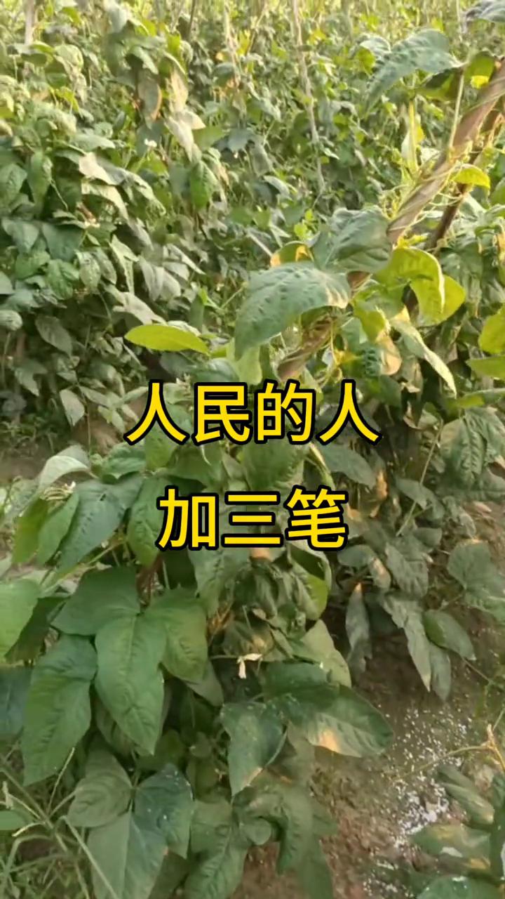 听说能答出来这个字谜的人都不简单，请问人民的人加三笔不是火也不是天，猜一个字是个