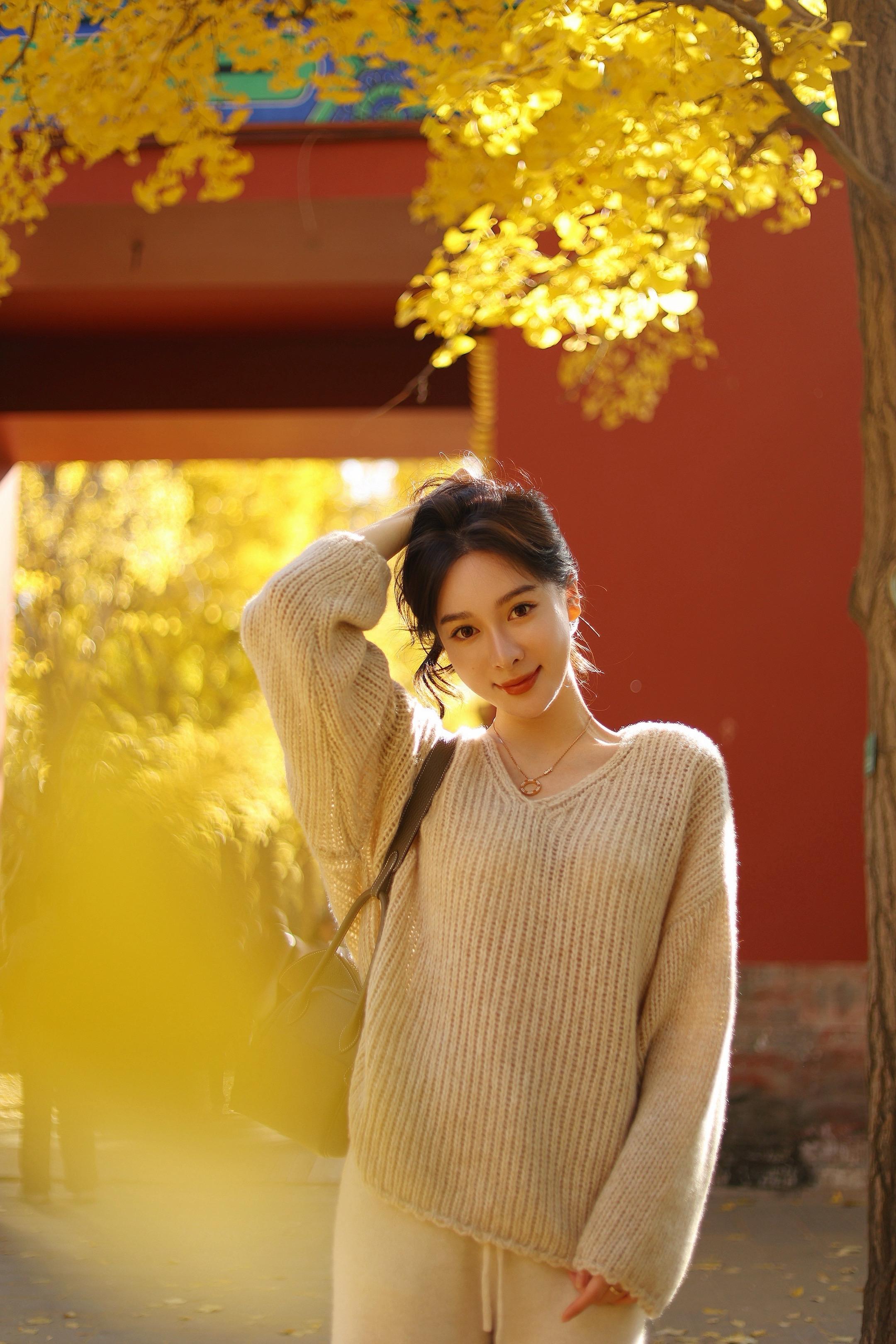 地坛的银杏树好美。