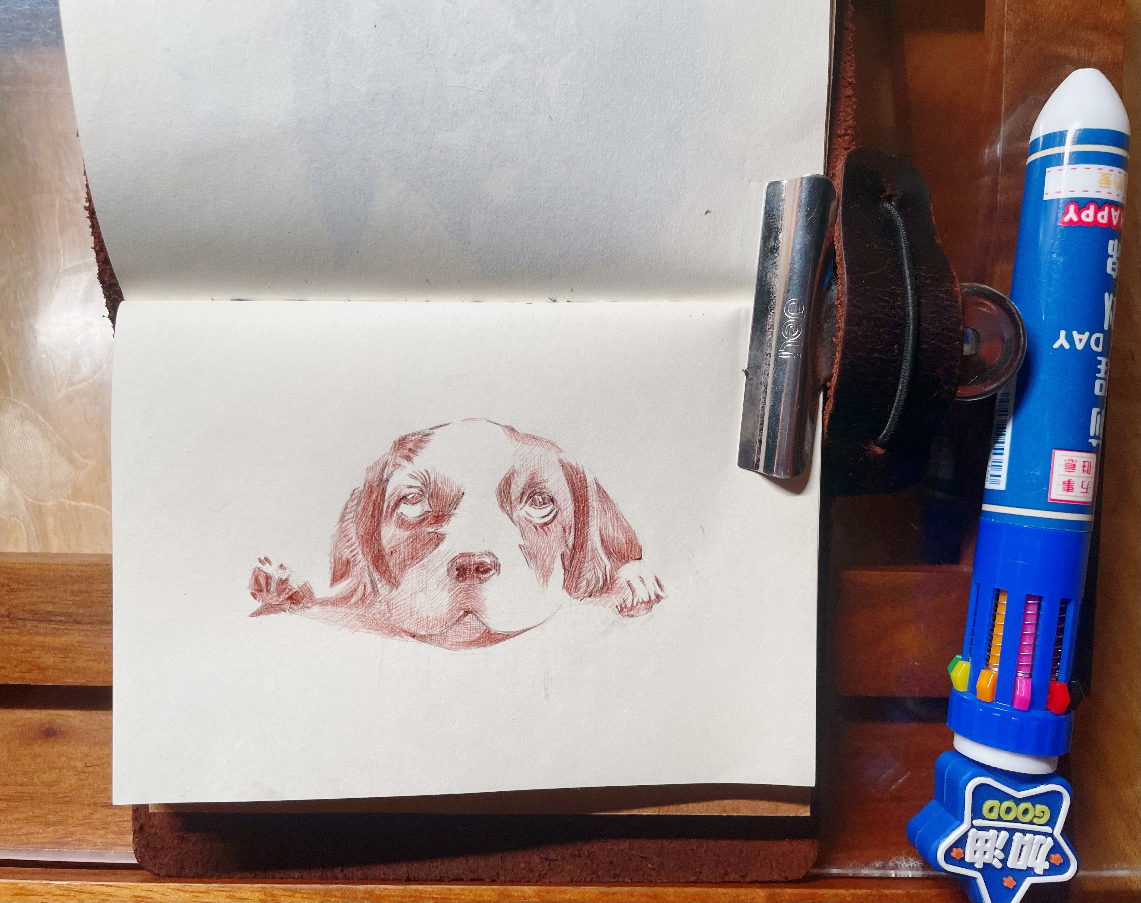 圆珠笔小画，一只大头狗狗🐶底色✅明天完成✔️遇见艺术超话创作官设计美学插画新城