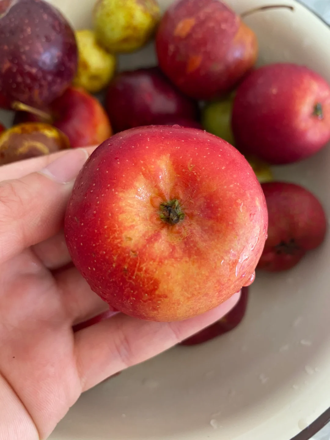 比大苹果有滋味还好吃😋