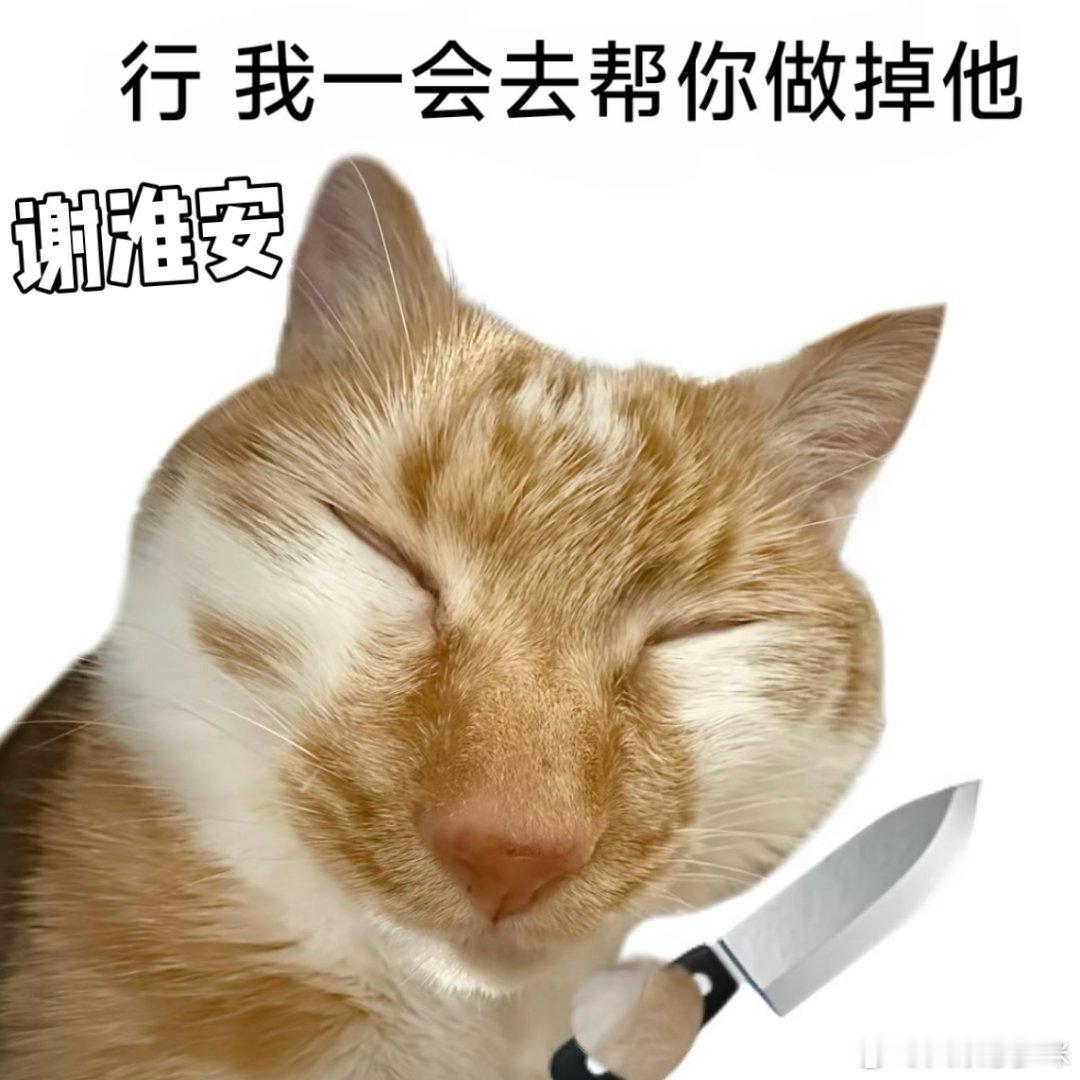 长安二十四计片头 冷开场+直切关键剧情，节奏紧凑无冗余，悬念感拉满勾人追更，剧方