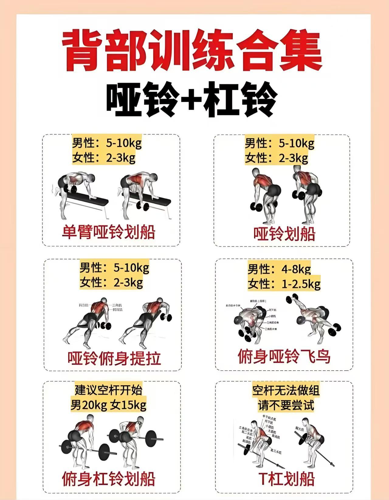 背薄显年轻，背厚显强壮！
使用哑铃或杠铃的练背动作
背部形态是好身材的绝对标志