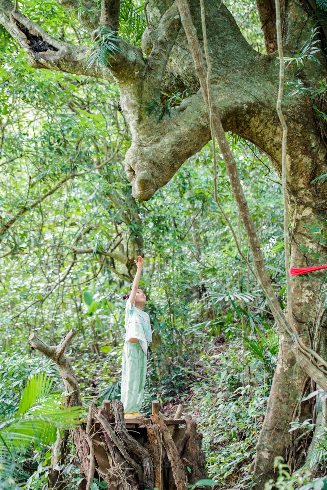 六一去哪？海口周边竟然藏着这么个遛娃神地