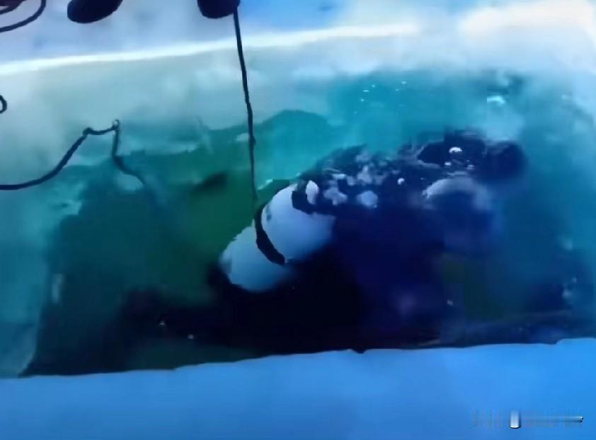 俄潜水员已于21日从贝加尔湖湖底，寻获并打捞出7名中国游客和1名俄罗斯司机的遗体