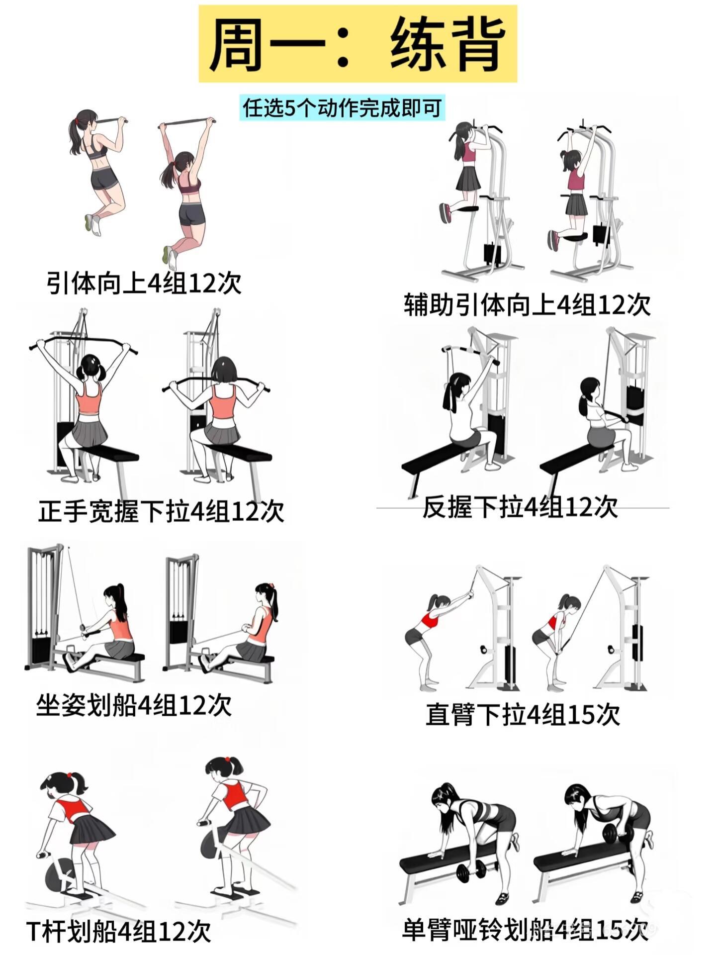 当你脱离私教，✅新手如何安排一周锻炼🏋 ​​​