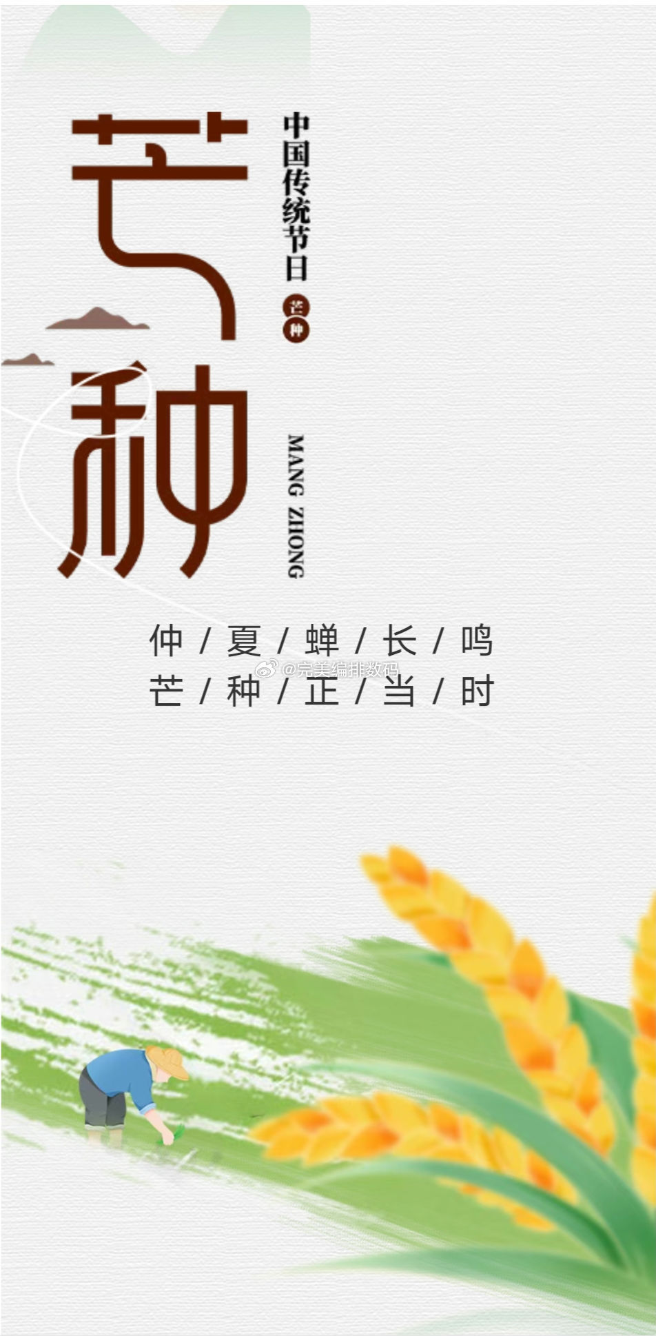芒种 仲夏蝉长鸣，芒种正当时。