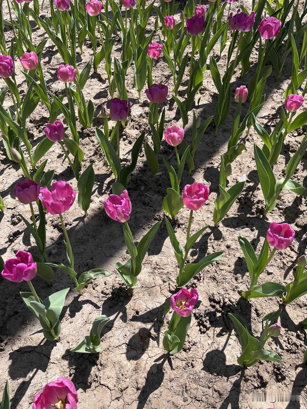 离我1米远，一扇空调窗外框从天而降……清明我做了这辈子最郑重的一次祭拜

这几天