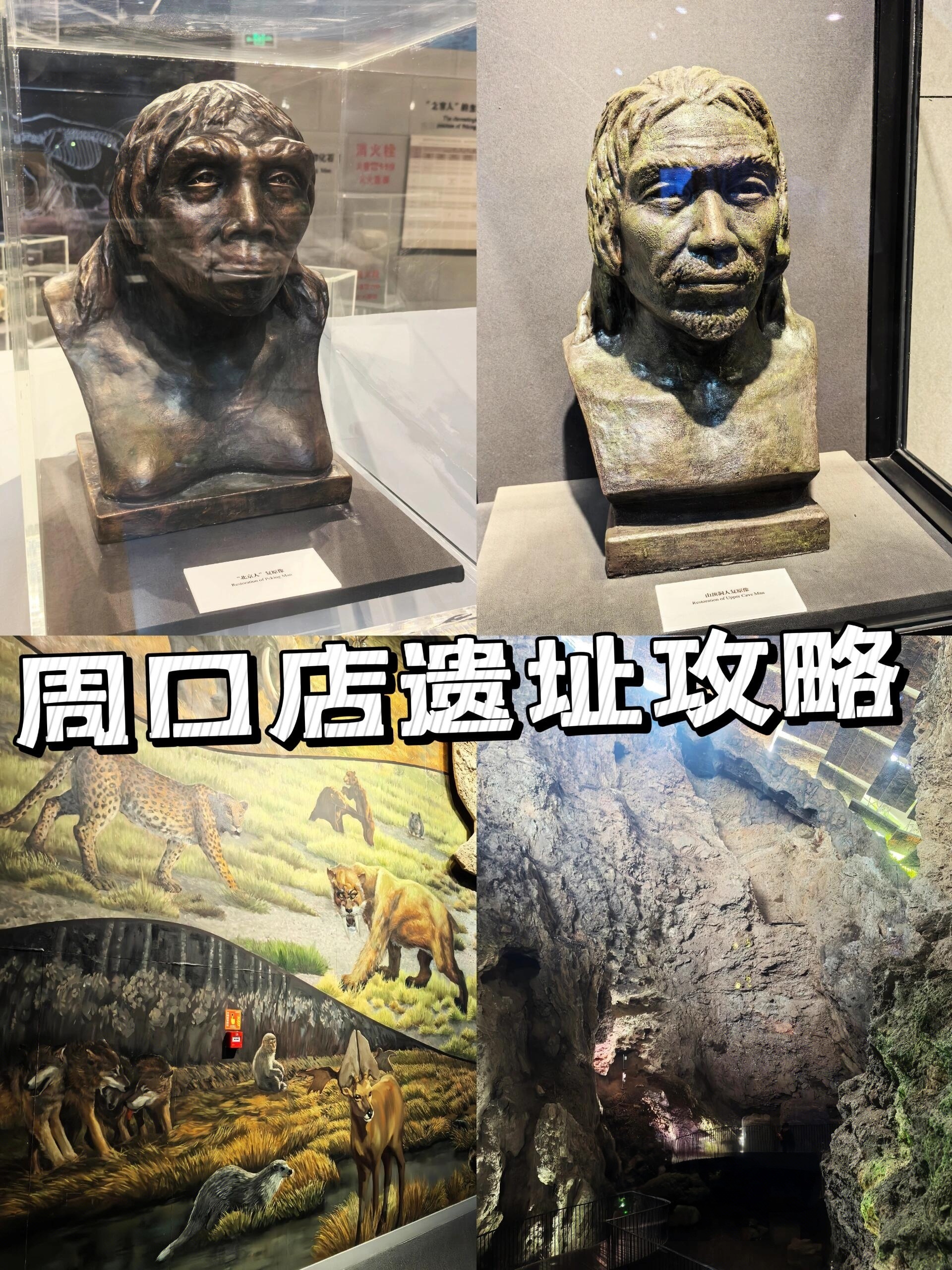 博物馆游🦖北京房山周口店遗址攻略｜探秘人类起源的“时空隧道”——走进70万年前