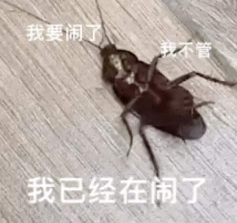 辅助需要什么意识?
打排位玩牛魔，开局先去野区看了眼，然后跟着中路清了波线，后来