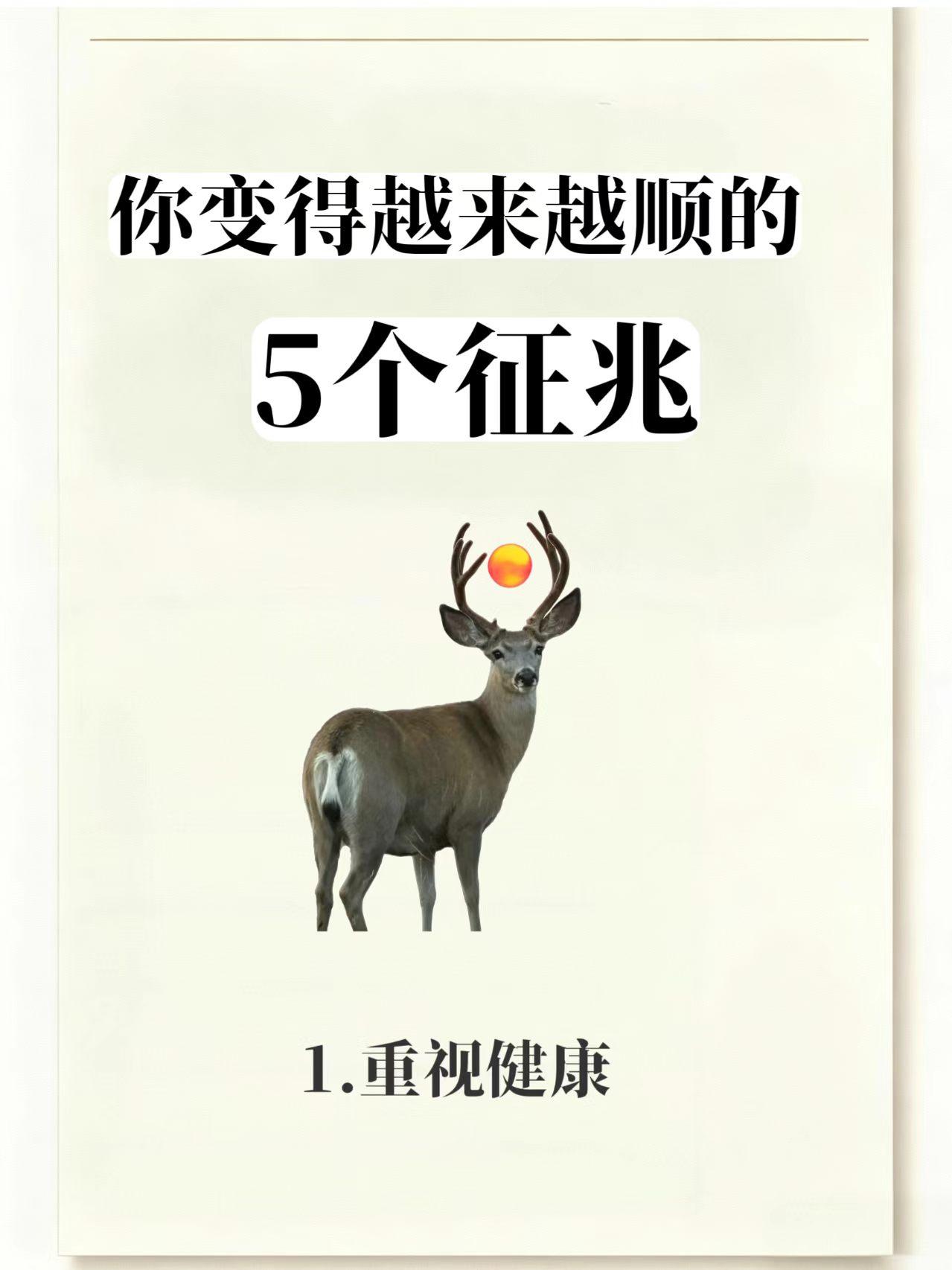 越来越顺的5个征兆
