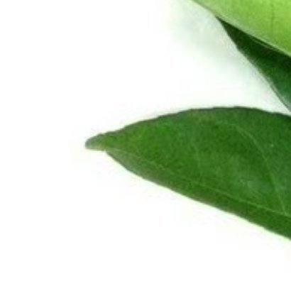 路过的同担帮善一善，一天到晚被疯🐶追着咬，无语！