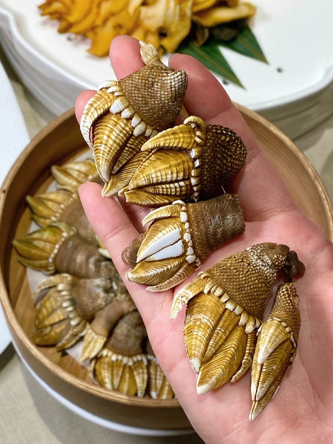 又来吃海鲜了😍😍😍