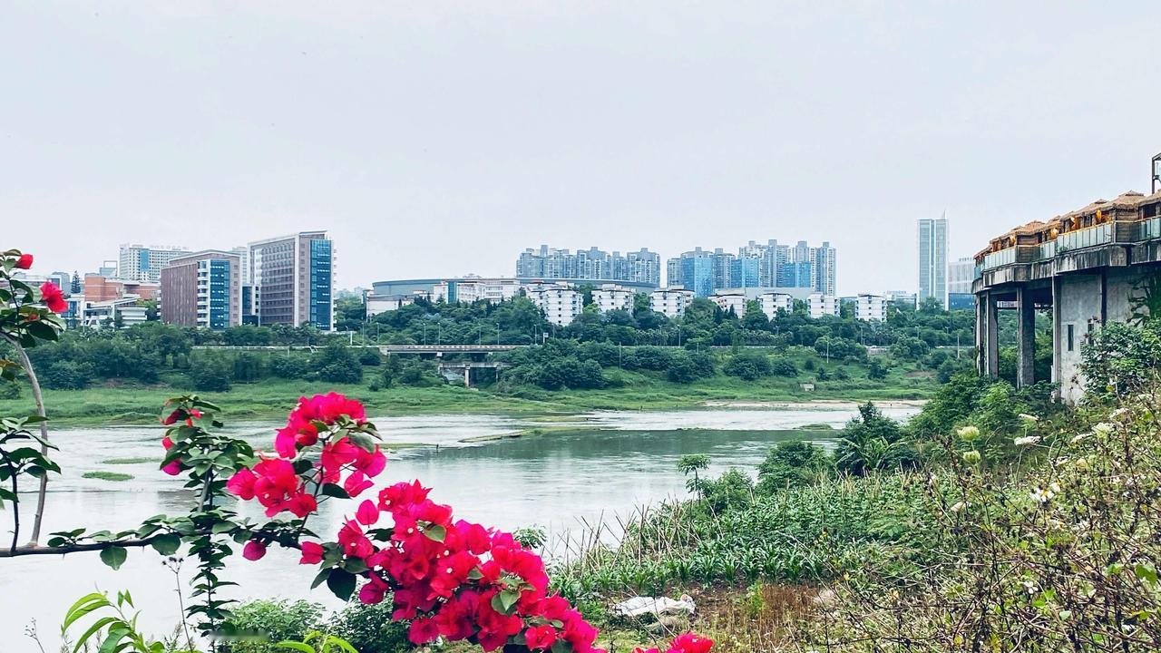 五一午后逛泸州江岸，沱江六桥到三桥藏尽初夏温柔
   五一假期的某个午后，避开城