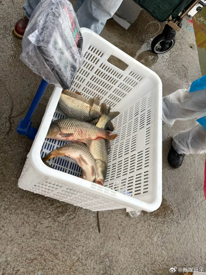 现场称重七十分钟一场有几位运动员一场钓出十八斤多的[赞] ​​​