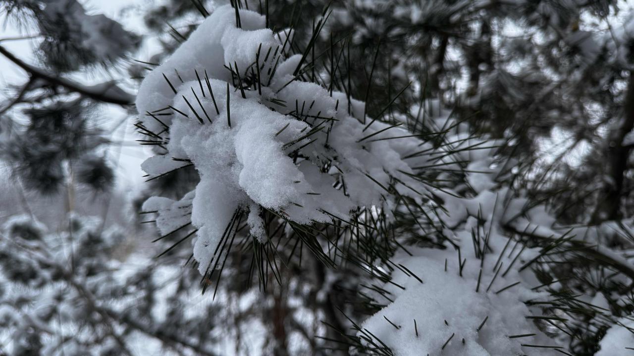 刘备、刘邦、刘秀虽都姓刘且有汉室血脉，但差别不小。
刘邦打仗表现不稳定，时而能和