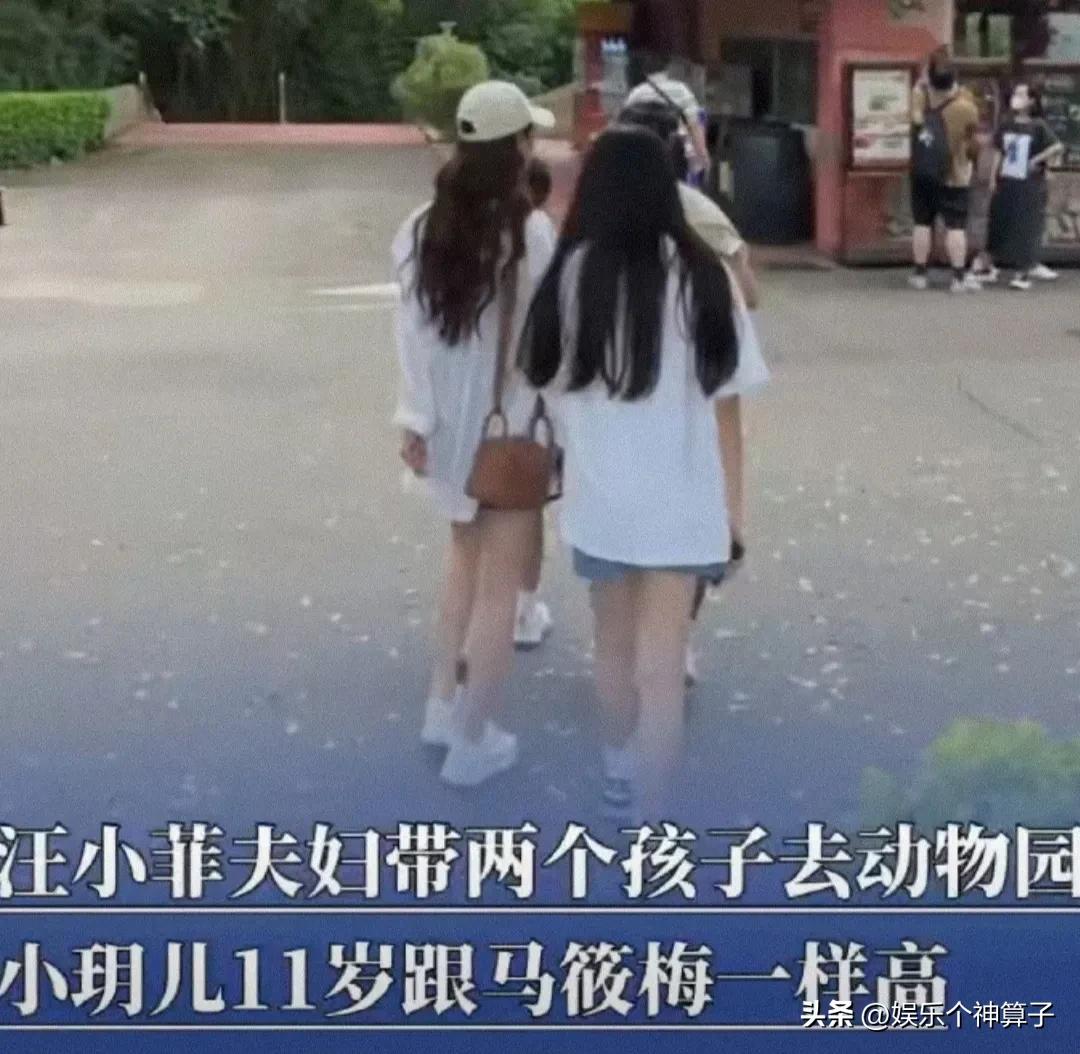 汪小菲一家四口游动物园，小玥儿背影好像大S呀！
7月5日，汪小菲在社交晒出一段视