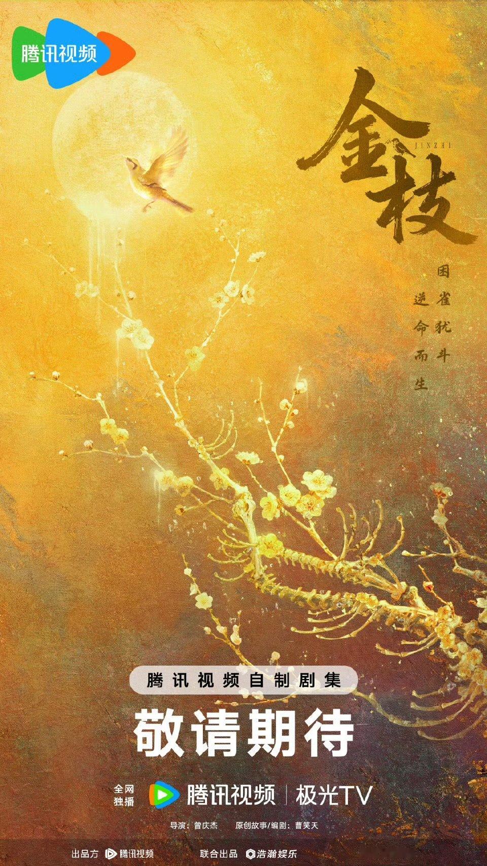 金枝平番金枝平番，今日开机并官宣阵容主演：李一桐、陈星旭