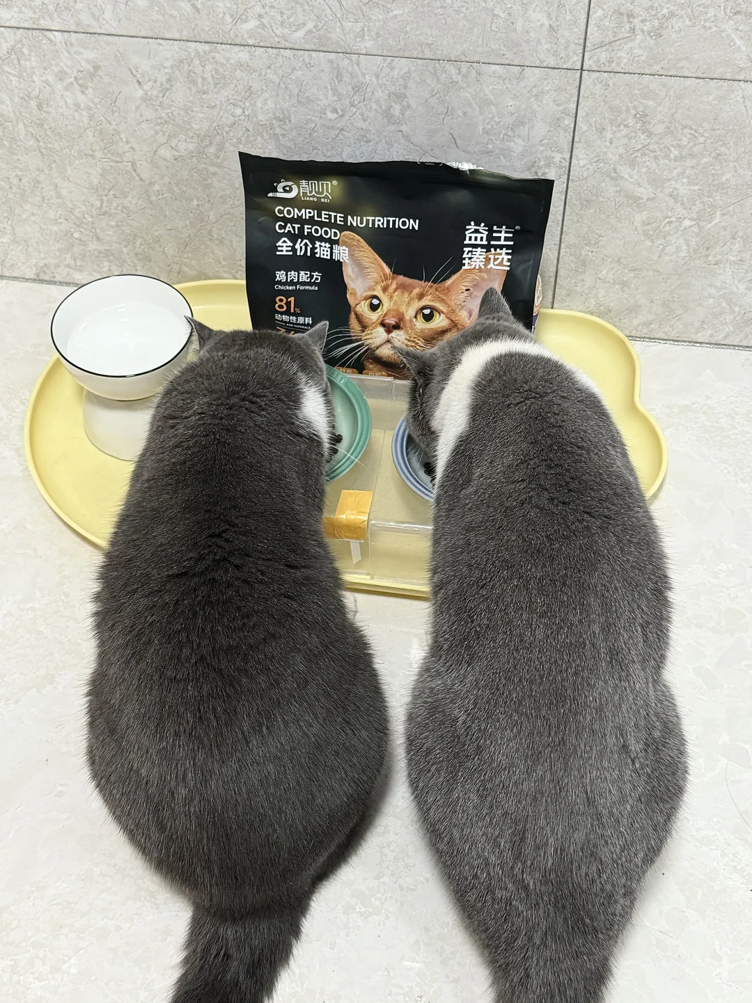 吃空5袋养出健壮小猪咪啦😉