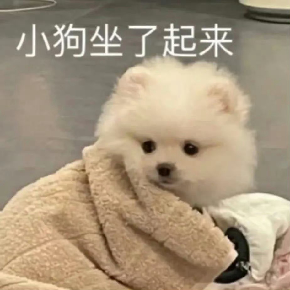 玩加早安 大家早上一般都是几点起床英雄联盟