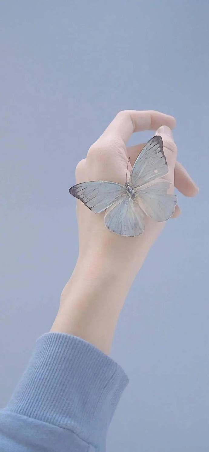 先静之，再思之，五六分把握即做之。—— 曾国藩 ​​​