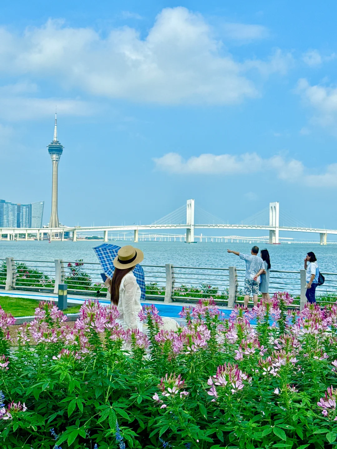 live图！珠海免费小众看海的地方❗️下次还来