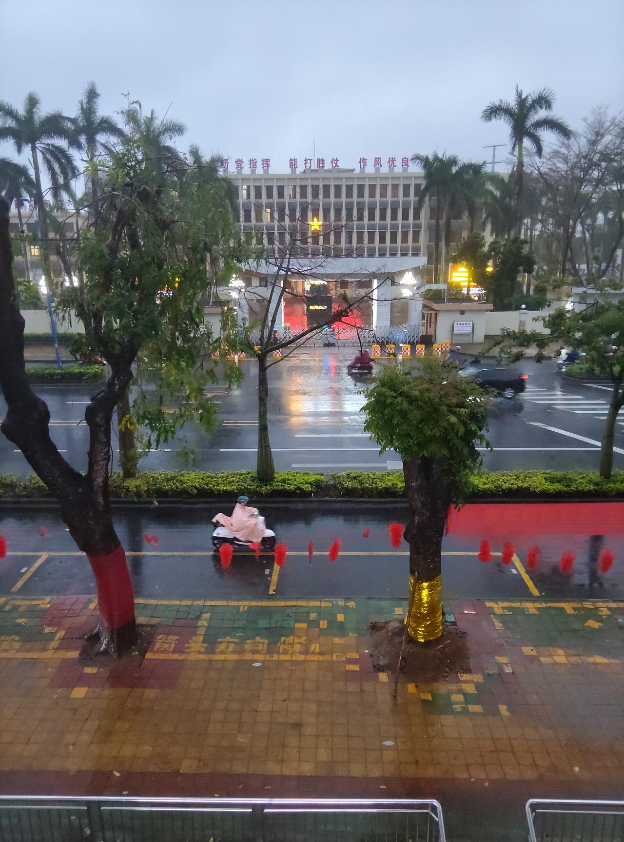 今日元宵节，却下起了雨来。
一早就下起雨来。
有点扫兴。
许多节目都安排不了了。