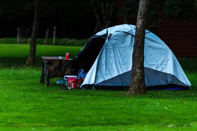 春日生活打卡季 春日已至，周末别宅家啦！把帐篷扎进风里，逃离屏幕蓝光，去触摸山野