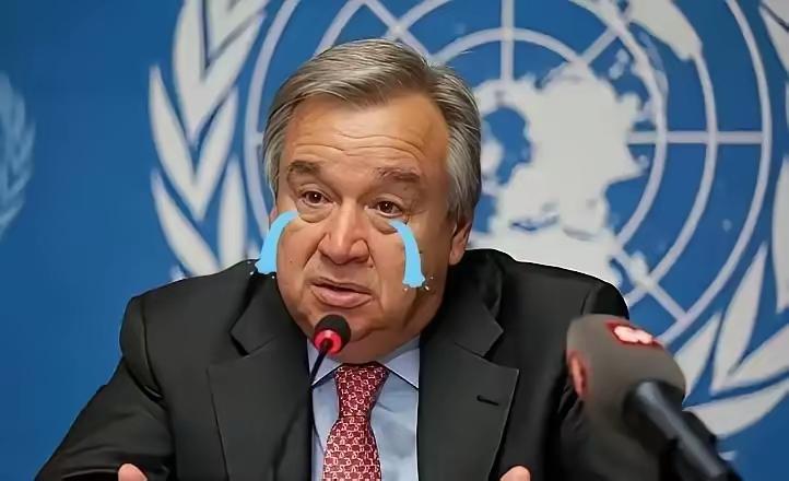 据报道联合国秘书长古特雷斯已明确表示，联合国不打算介入中日之间的争端。
呸！这是