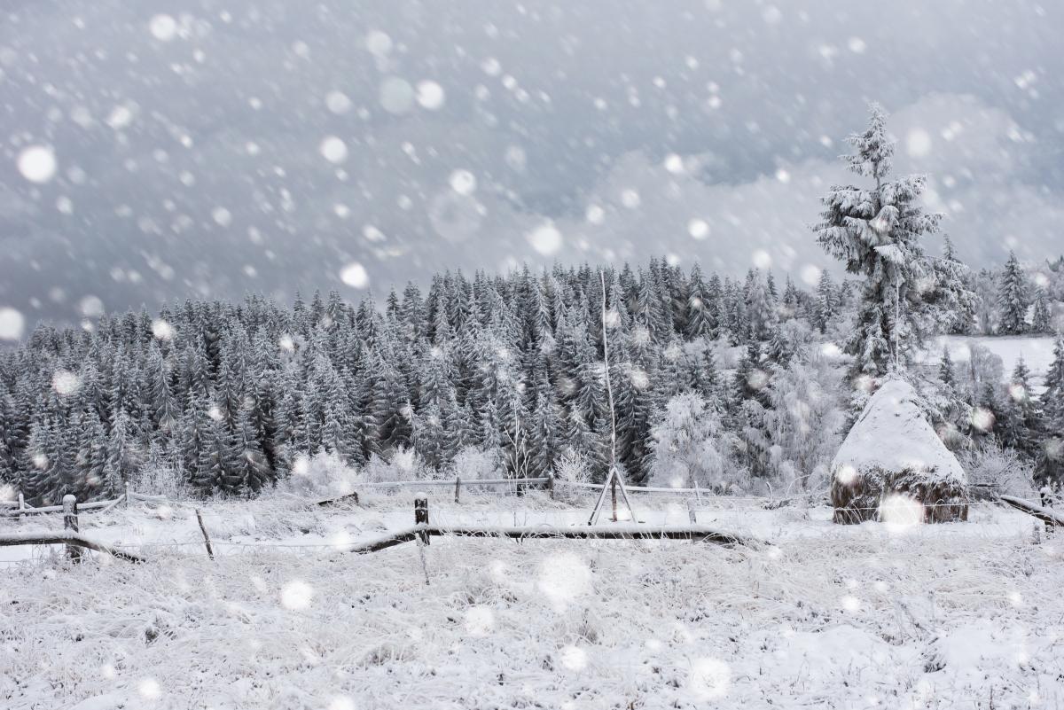本来计划每周一城，计划刚实行了一周，就被这突如其来的一场雪搁浅了。礼拜六礼拜天的