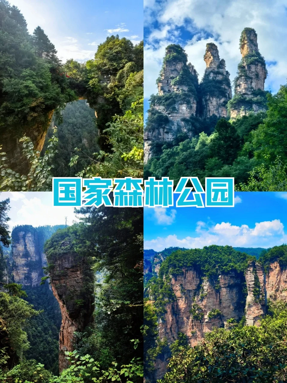 一定要带着父母🔥来一趟张家界✔5日纯玩