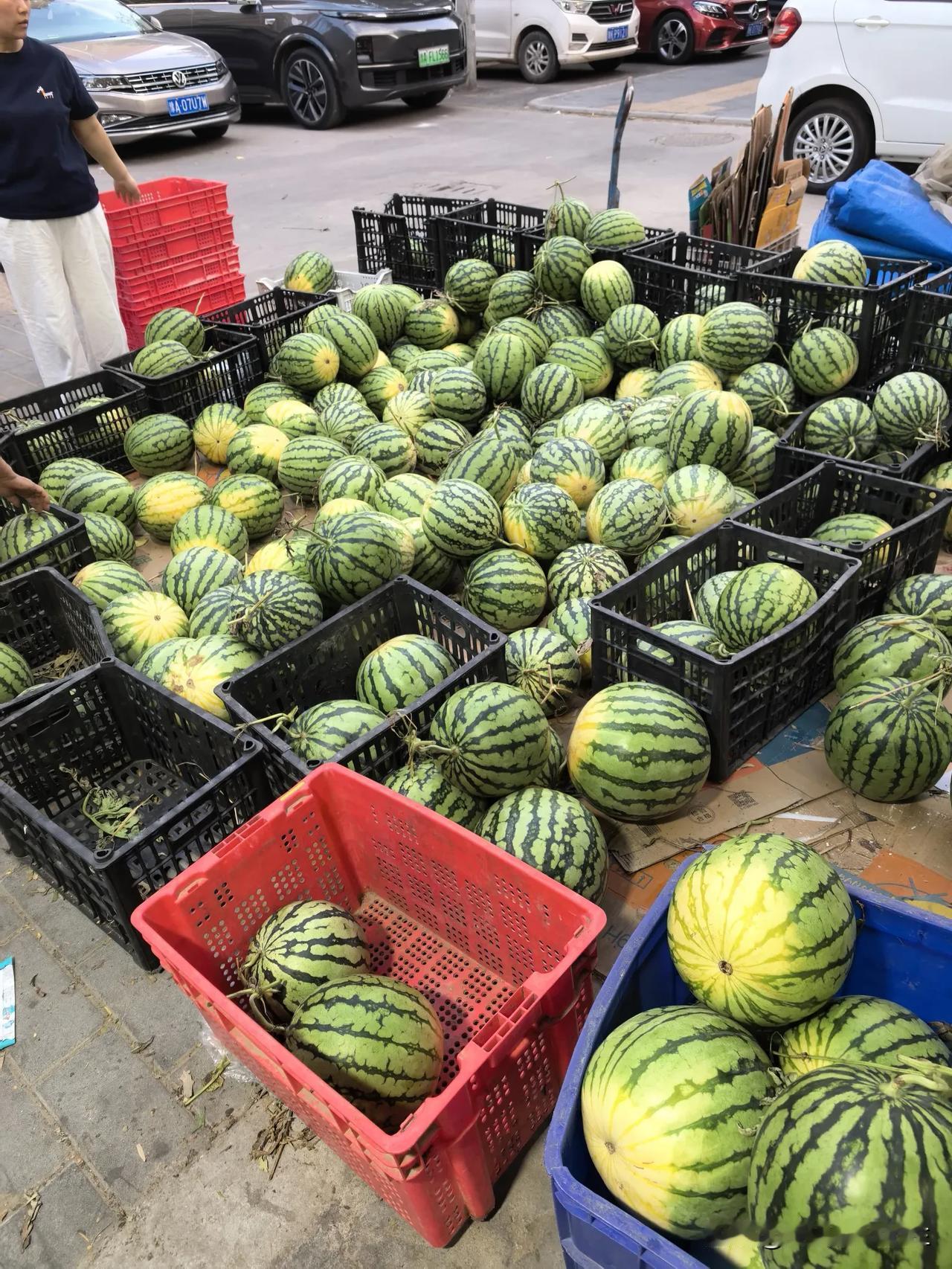 今年暑假，我们算是彻底实现吃瓜自由了！

超市直播间搞活动，美都西瓜， 2毛9一