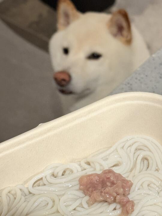 心思写进眼神里….