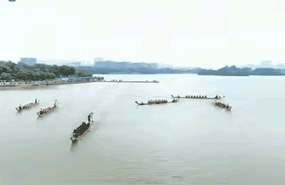 你不要过来啊，这句网络梗越来越火。

昨天端午节，徐州大龙湖举行了“2026年端