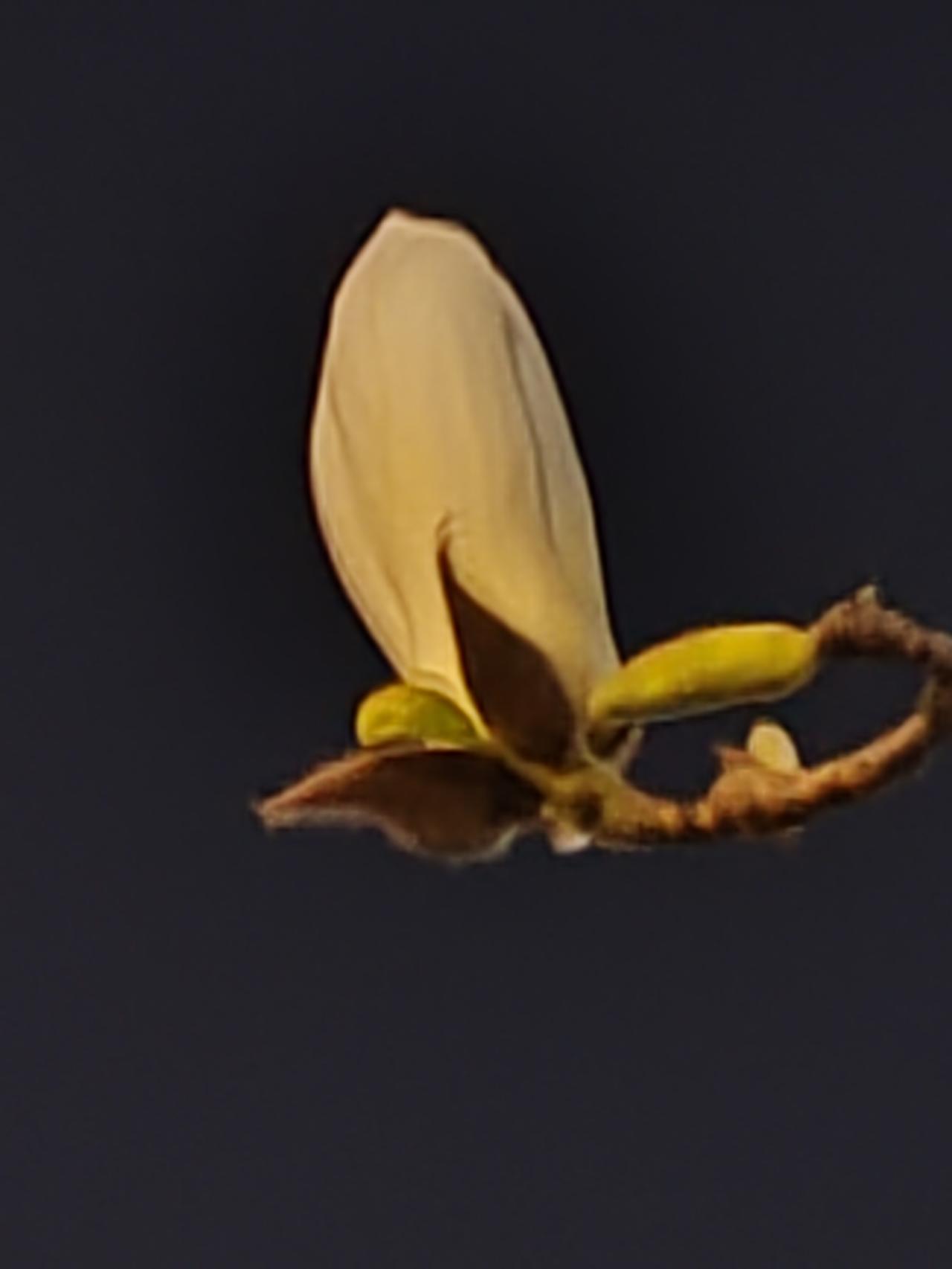 活好自己，再帮人。帮了别人，困死自己不是明智之举。离了夫家，又没收入，本就很苦，