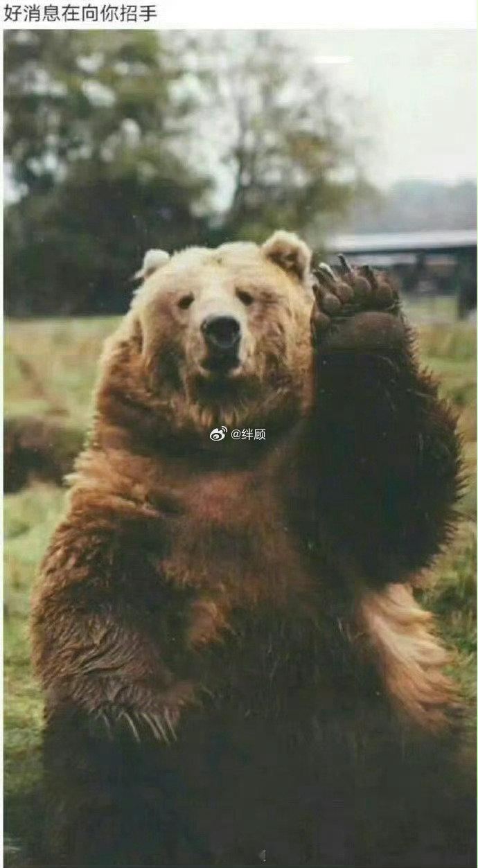 刷到不要无视  这张神奇的图  好消息在向你招手 ​​​