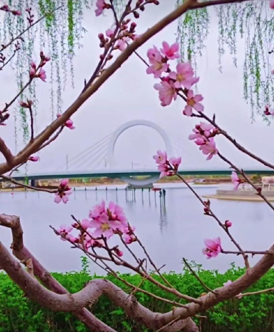 谁有花草照片，可以晒下吗