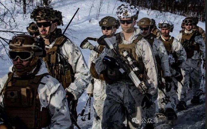 烽火问鼎计划 去年，北约在挪威举行了一次冬季联合军演，参演的芬兰预备役部队表现极