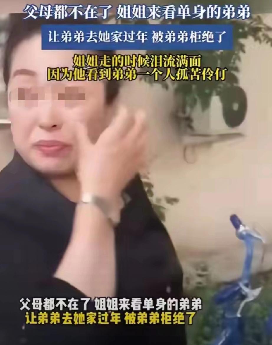 父母都不在了，姐姐来看单身的弟弟，让弟弟去她家过年被弟弟拒绝了。姐姐离开时泪流满