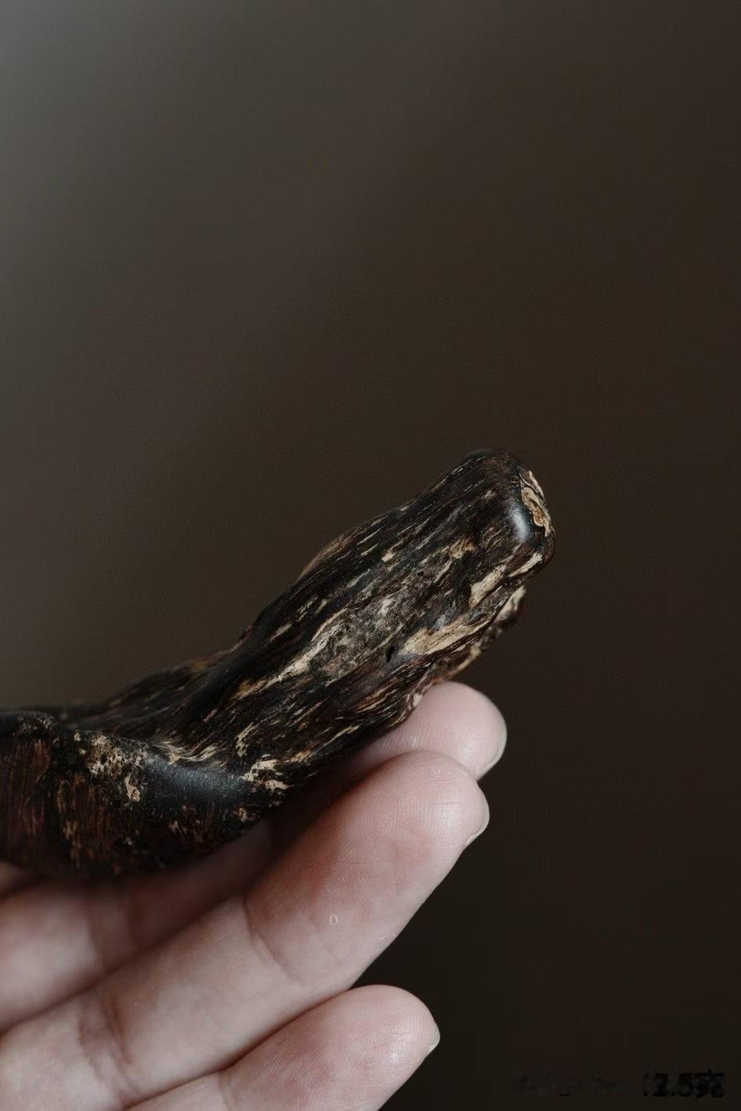 一块好的沉香天瘿，从来不是雕出来的，而是岁月长出来的。

文莱野生老料，瘤疤天然