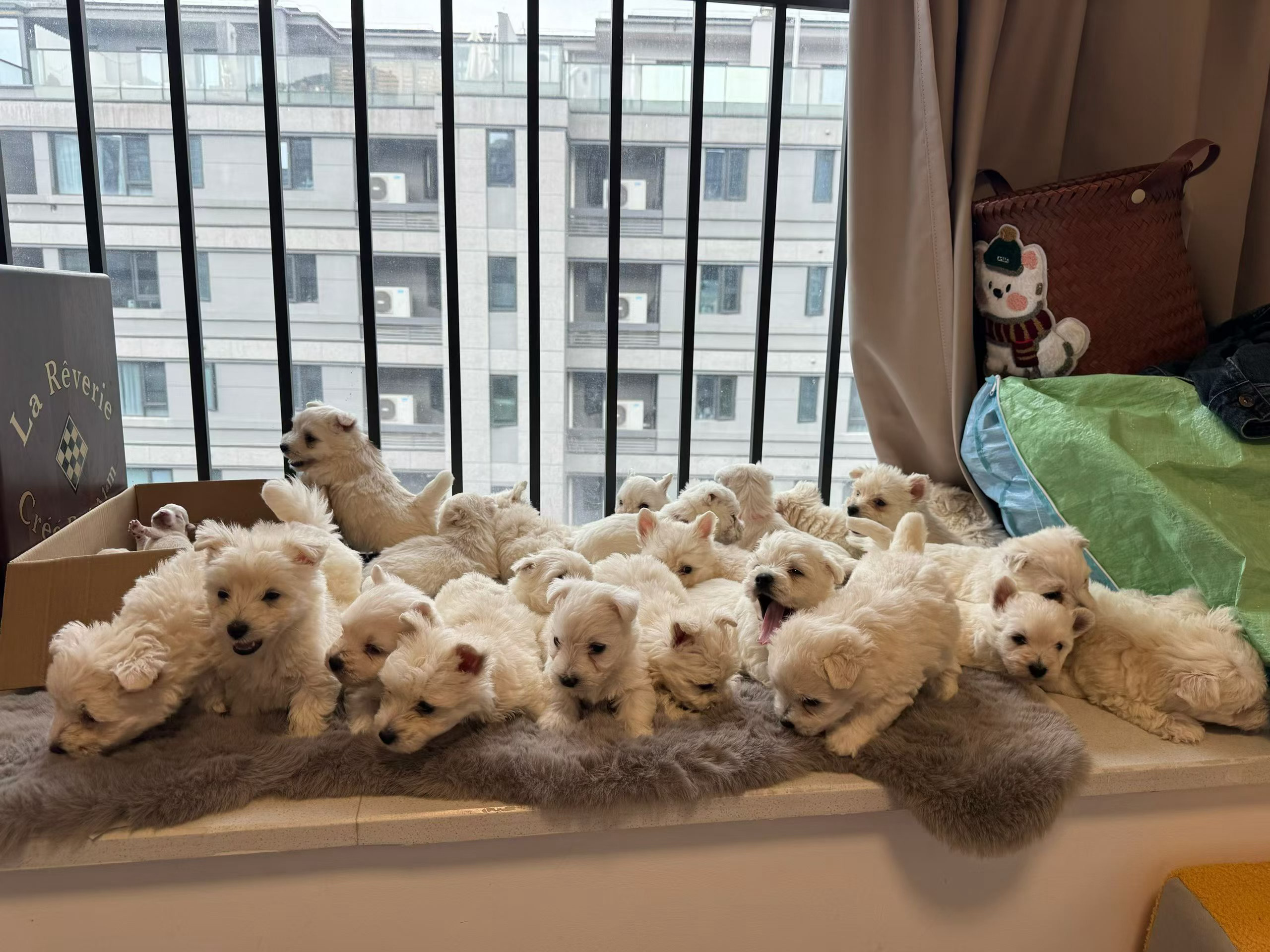 什么实力 