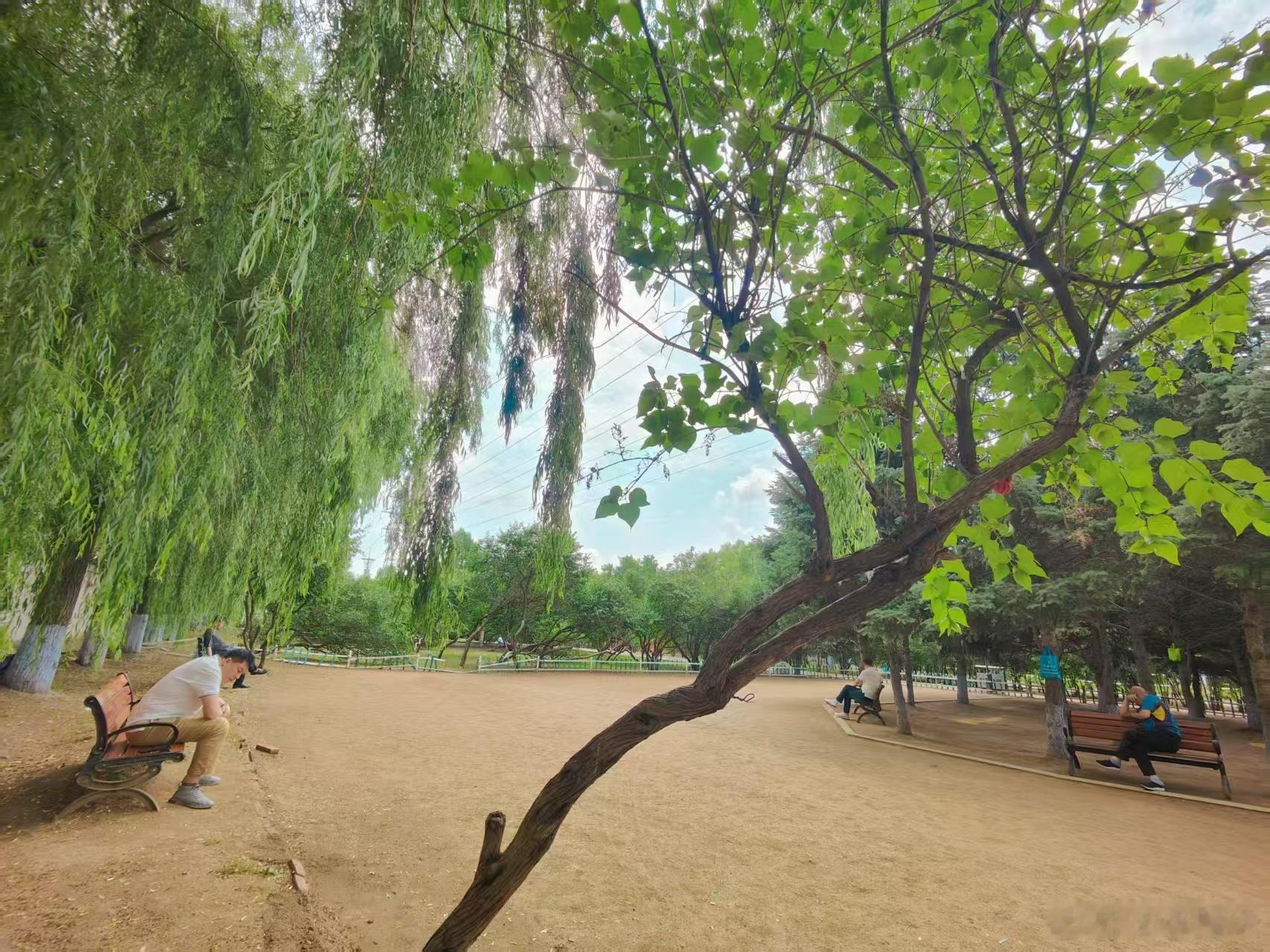 父亲节 哈，难人节快乐[允悲][笑cry][汗]父亲节快乐随手记录美好生活  ​