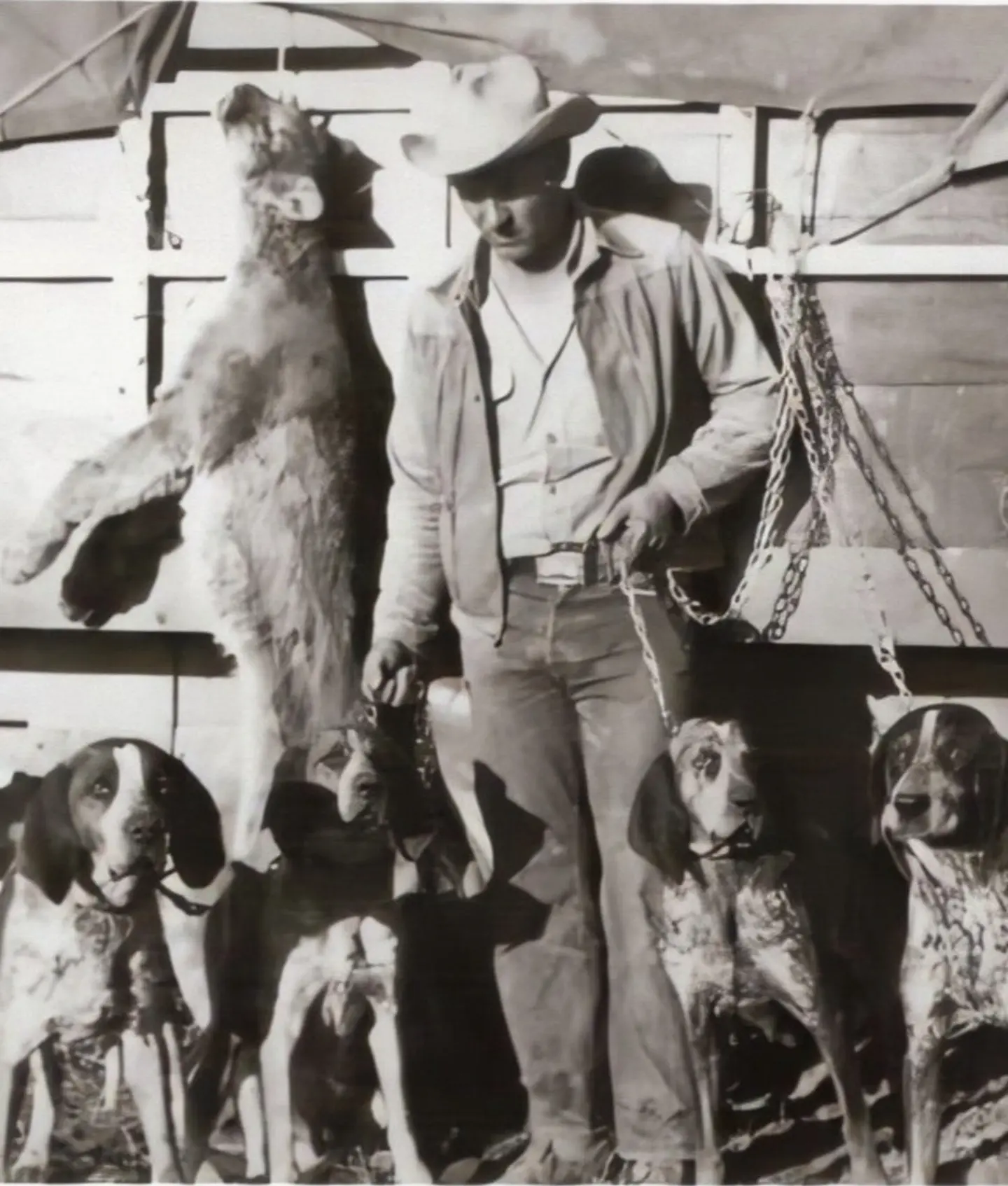 1920年 Wiley Carroll 和他的猎犬。
