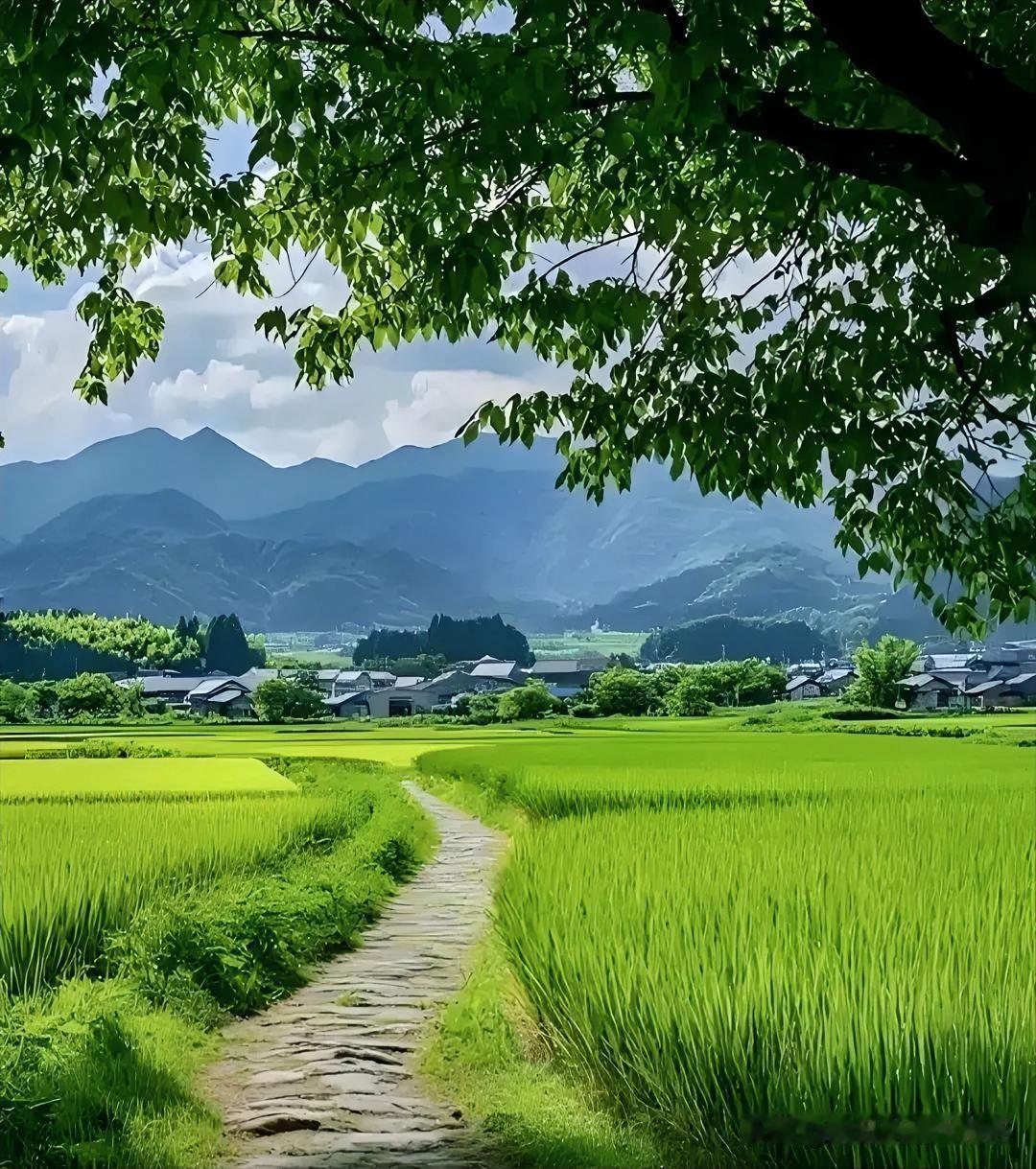 下联：岁月悠悠行路难
上联：有请雅士[玫瑰][玫瑰][玫瑰]