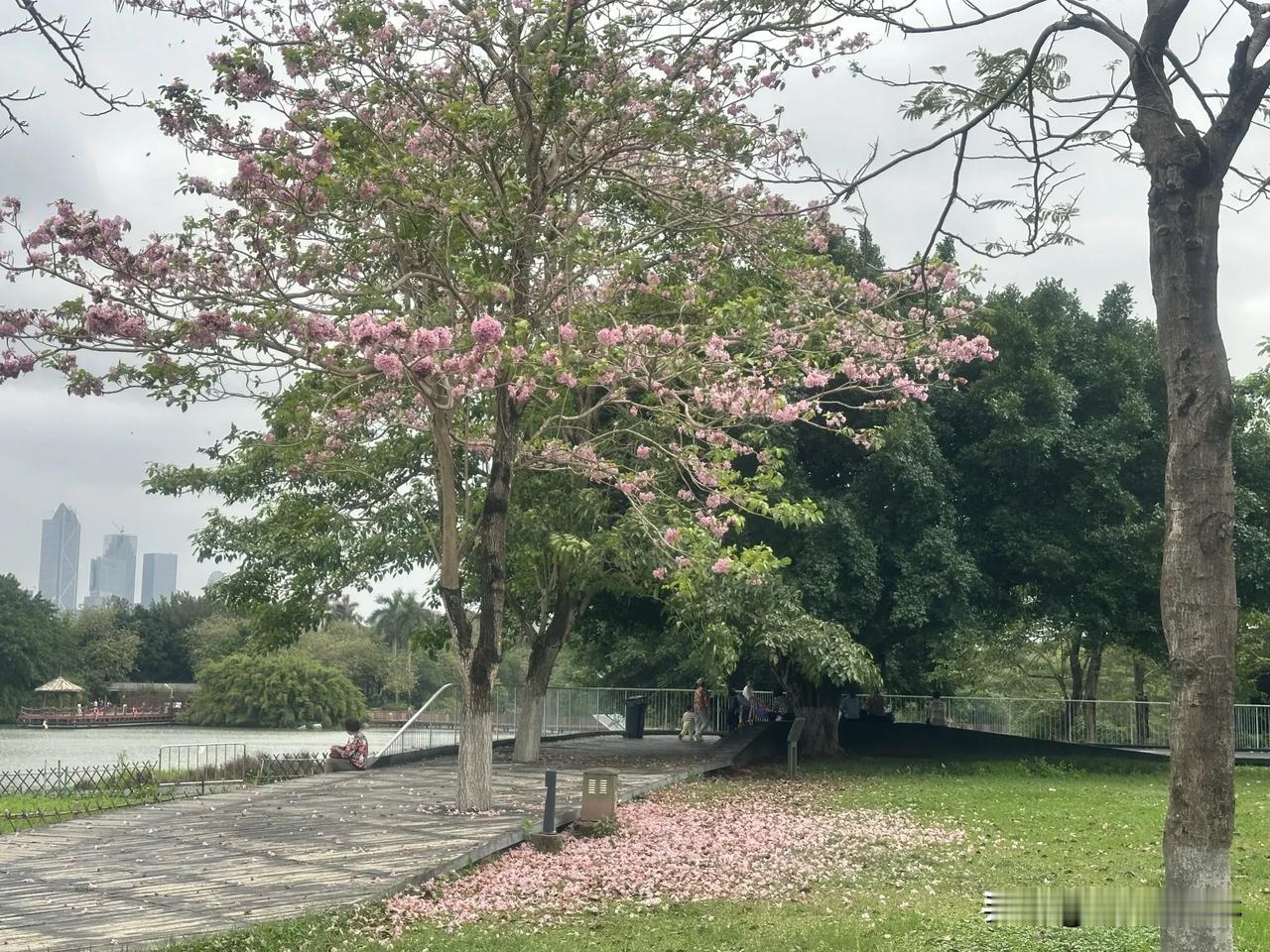 昨天傍晚去菜市场，卖菜阿姨多抓了把小葱塞给我，说：“年轻人，再忙也得好好吃饭。”