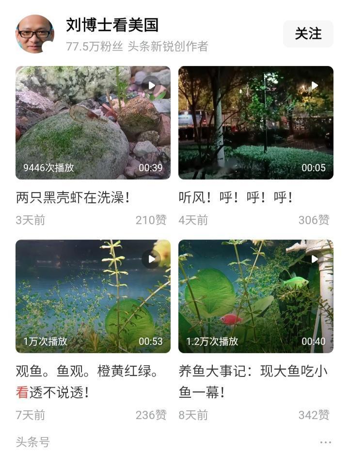 刘博士看美国，以前不看美国专看乌克兰。到了现在，干脆连乌克兰也不看，光剩下养鱼养