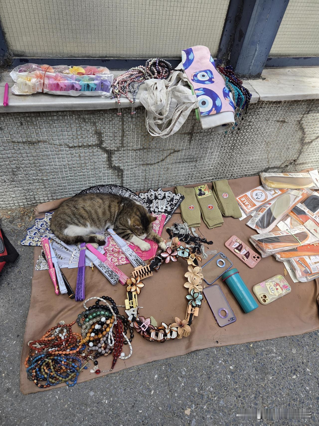卖旧货的跳蚤市场，猫在守摊。